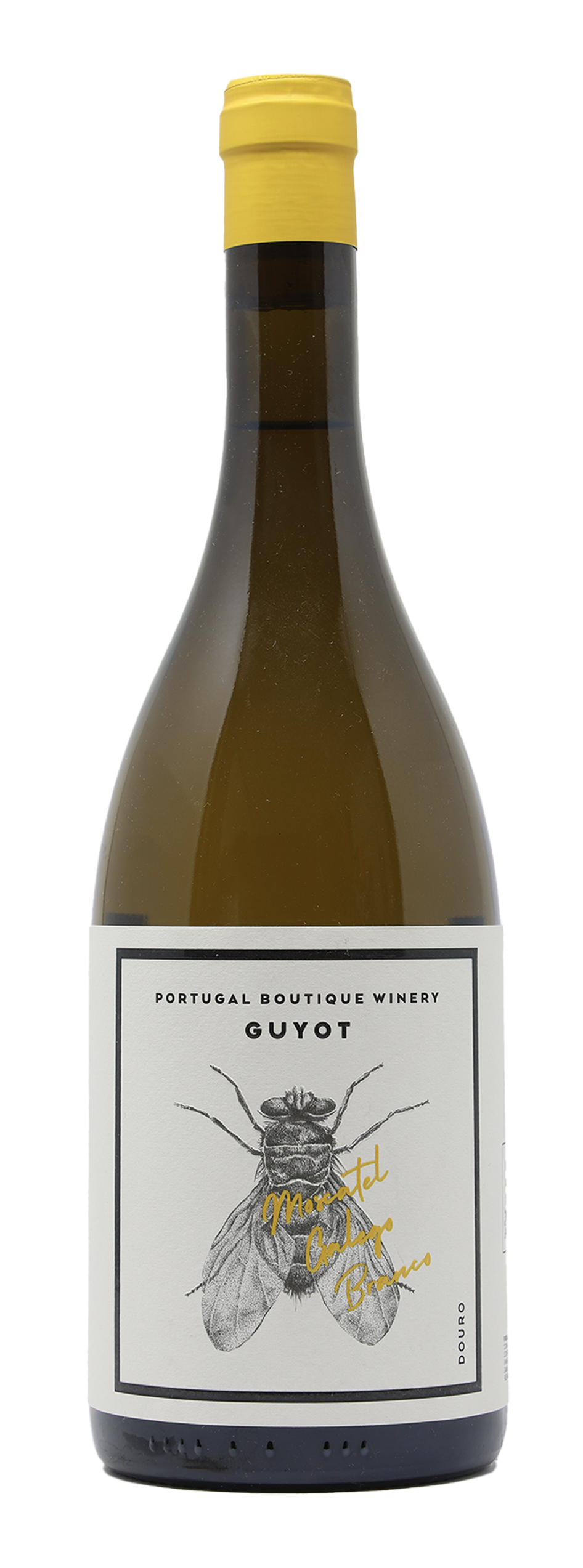 Innovativ Guyot Moscatel Galego Branco Hvidvin (2021) - Portugal Boutique Winery